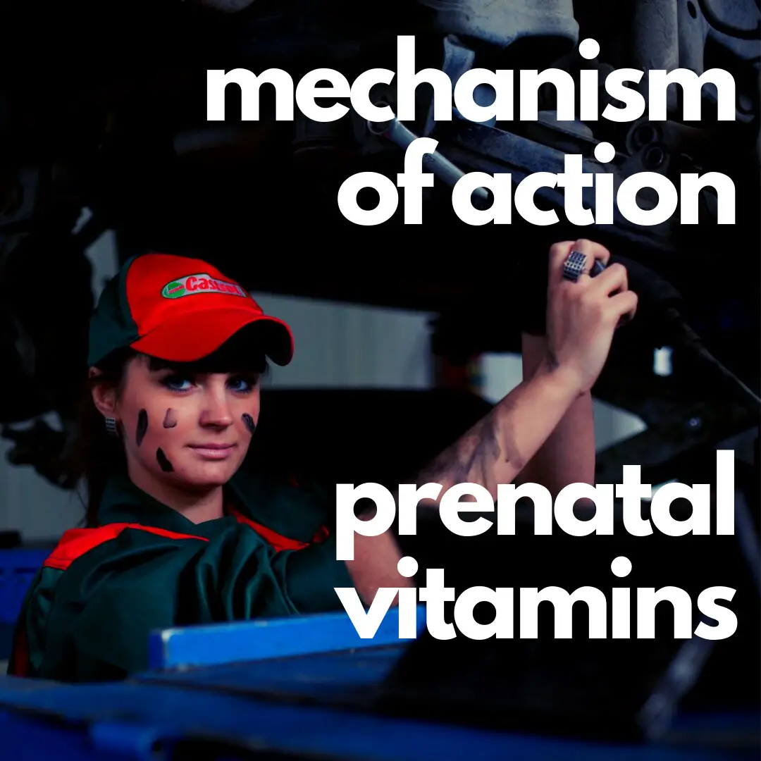 prenatal vitamins mechanism of action